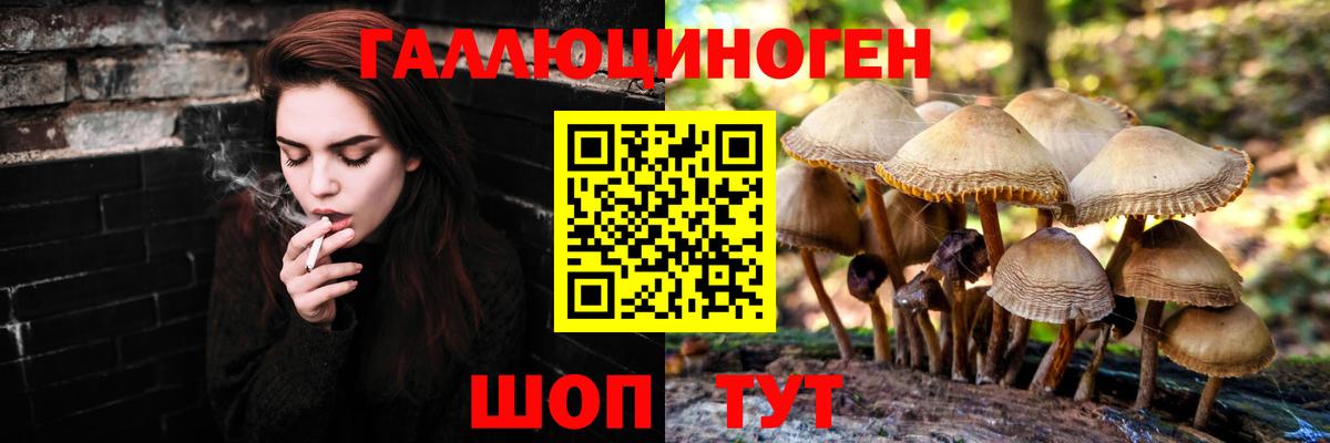 закладки  Псилоцибиновые грибы Psilocybe  Вход с VPN  Благовещенск 